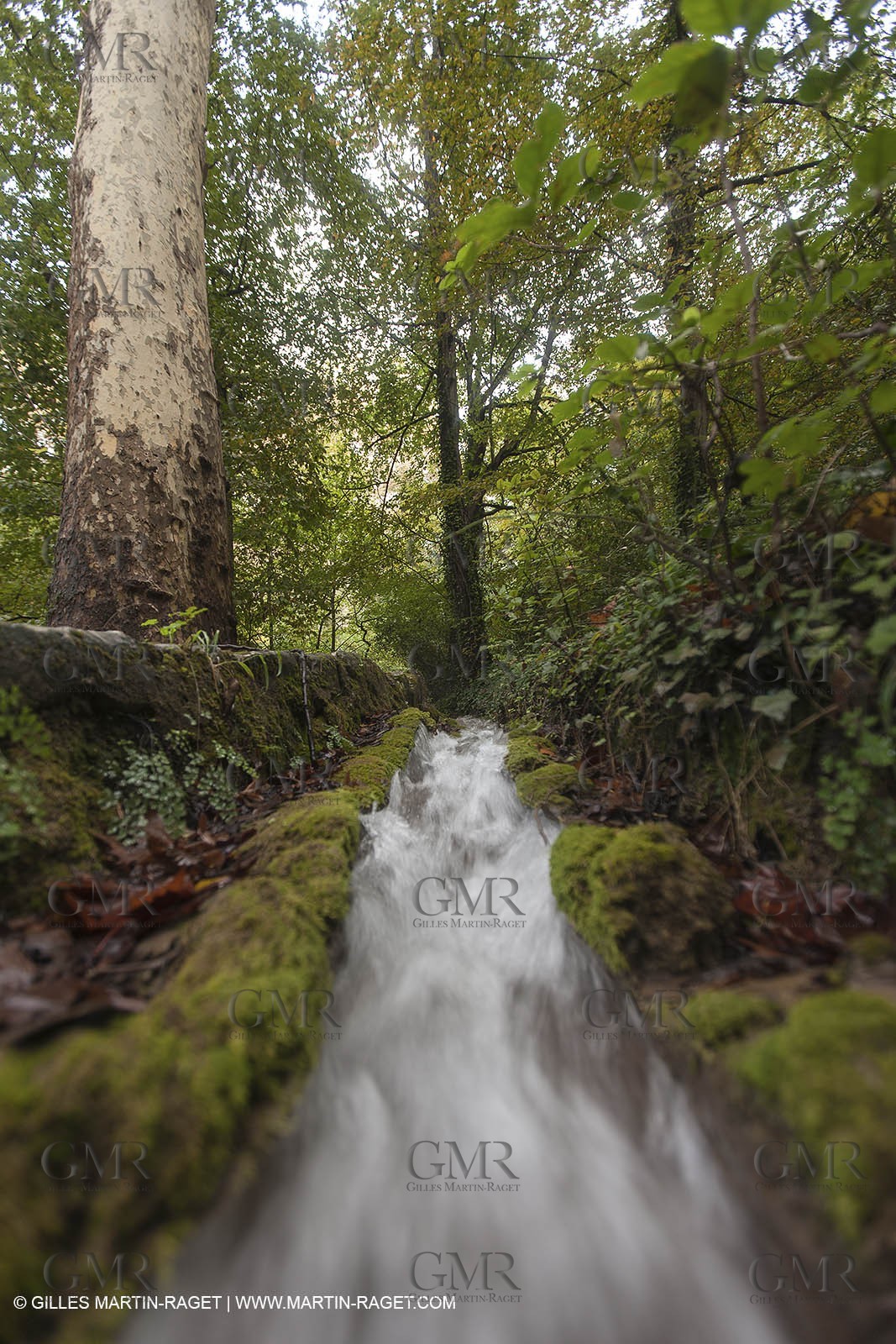 23 10 2012 - Gemenos (FRA) - Départemental Park of Saint Pons valley