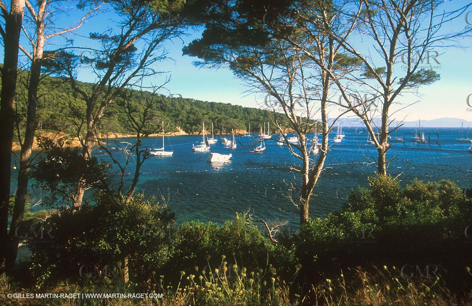 Port Cros Island