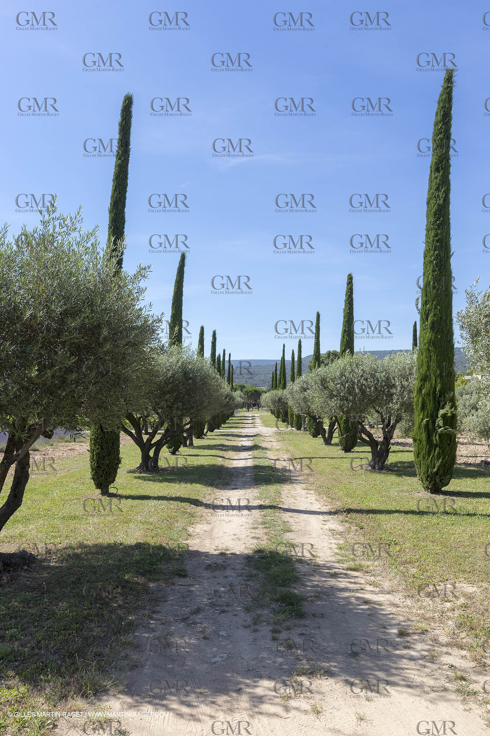 22 06 2018, Saint-Saturnin les Apts (FRA,84), Domaine des Andéols