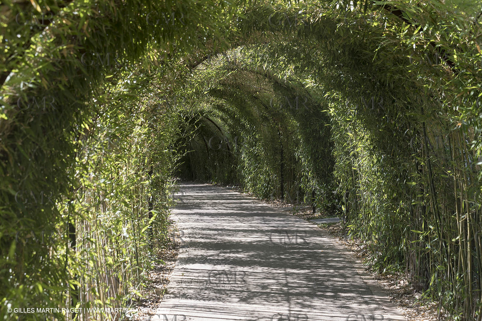 22 06 2018, Saint-Saturnin les Apts (FRA,84), Domaine des Andéols