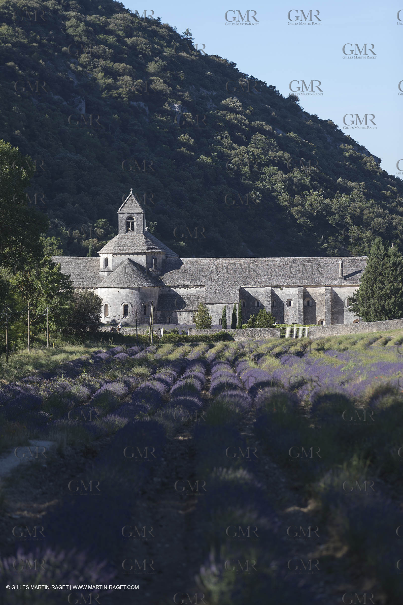 25 06 2018, Gordes (FRA,84), Abbaye de Sénanque