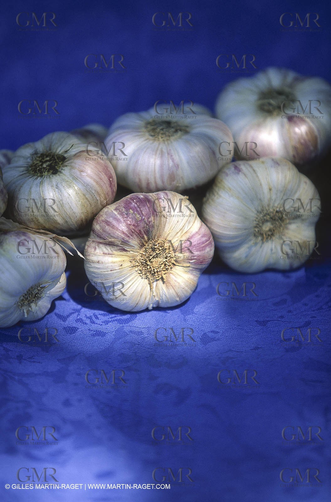 Bouches du Rhône, Marseille, (FRA,13), Bouillabaisse