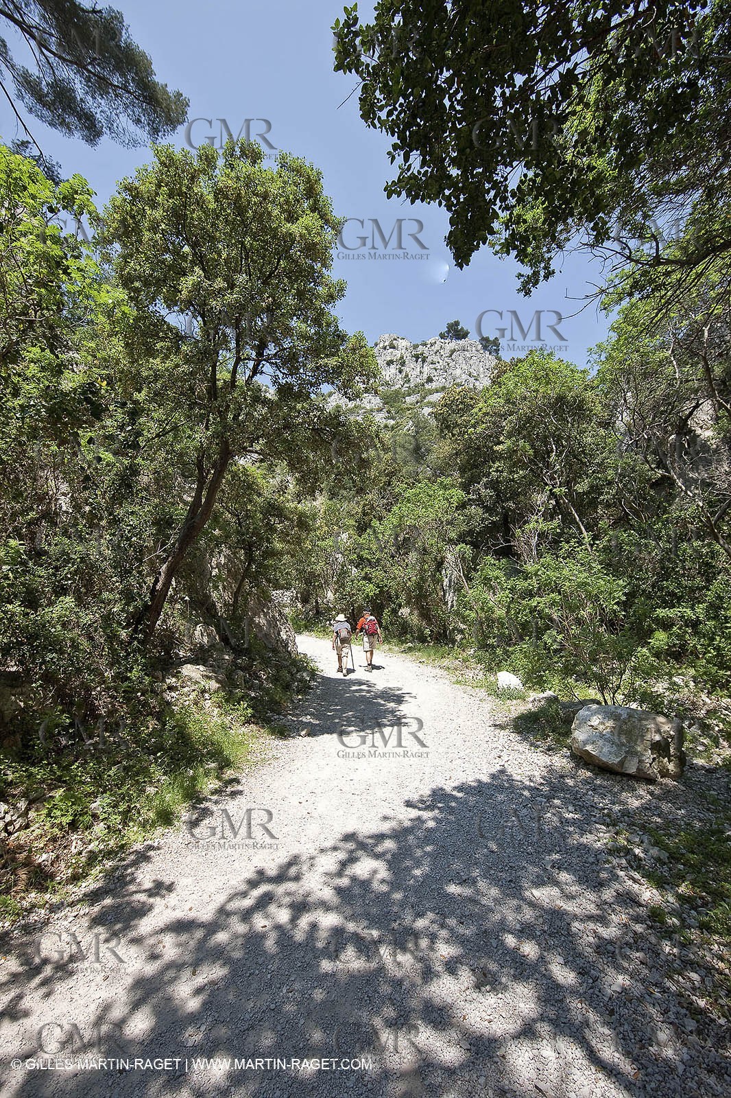 03 05 2009 - Marseille (FRA, 13) - Les Calanques - En Vau - Vallon d'en Vau
