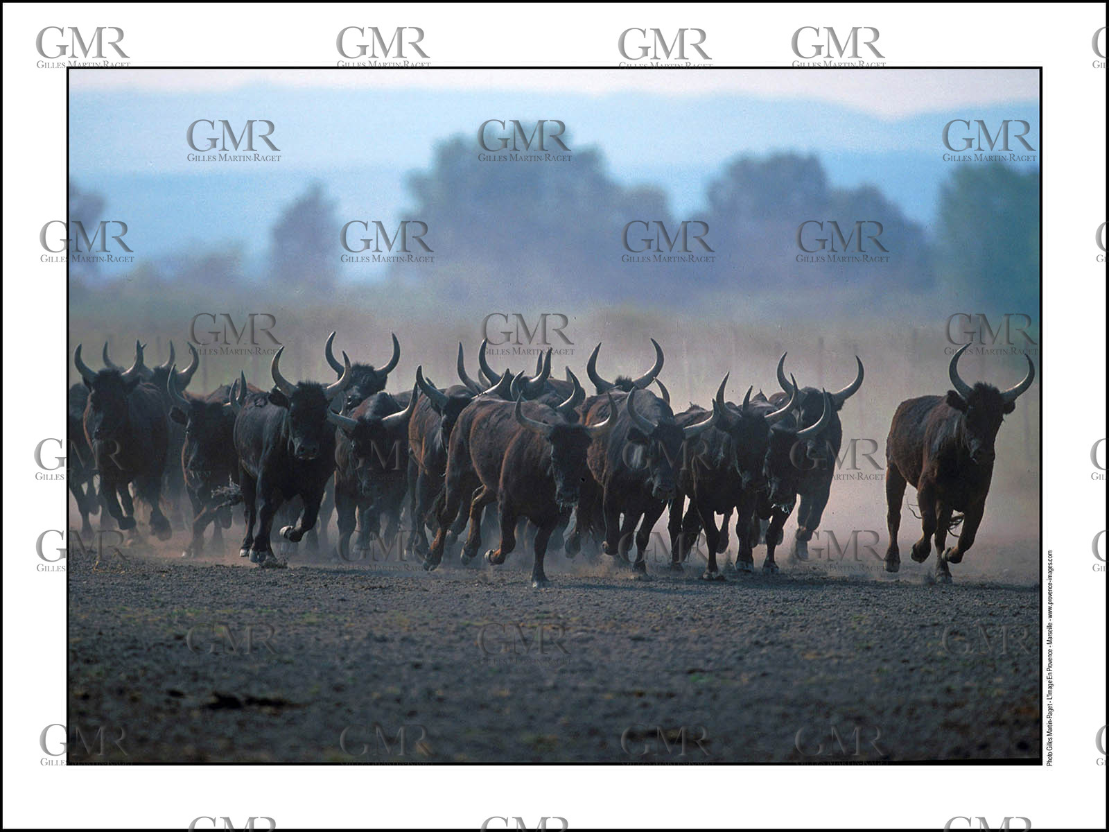 Product: in house made quality print on 8 ultrachome colors Epson ink Jet printer.Available sizes: . 30x40 cm. 50x70 cm. 80x120 cmAvailable papers: . Standard 250 gr glossy paper print, black streak, white margin, no signature. Top quality glossy 290 gr. paper, black streak, white margin, checked and signed by the author. Fine Art print (signed, numbered, stamped, registered) on demand. Other supports (Canvas, Acrylic, Metal) on demandPackaging: cylindric reinforced tubeShipping options: regular mail or Shipping companyClick on the basket icon to select your options and start the online ordering process
