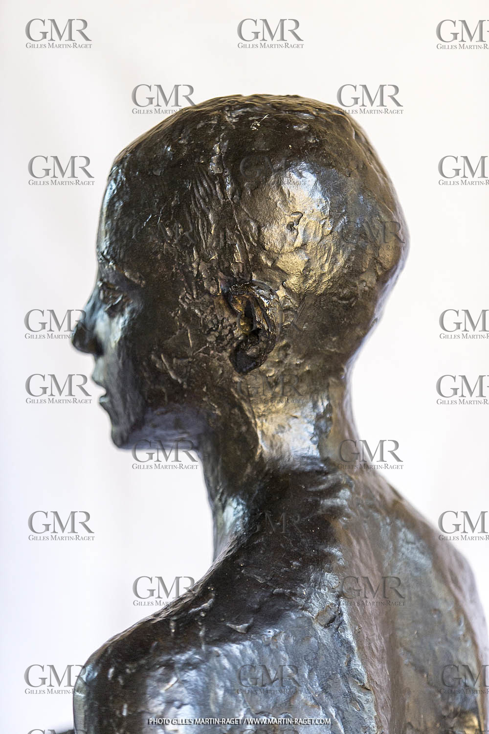 06 03 2016, Saint-Etienne du Grès (FRA,13), Oeuvre de Germaine Richier, Loretto I 1934, Bronze patiné foncé, Numéroté 4 6, fondeur Susse, Paris, 160 x 52 x 35 cm, Collection particulière