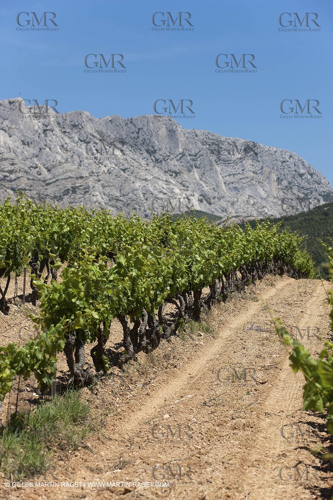 09 06 2012 - Pays d'Aix en Provence (FRA,13) - Sainte Victoire mountain