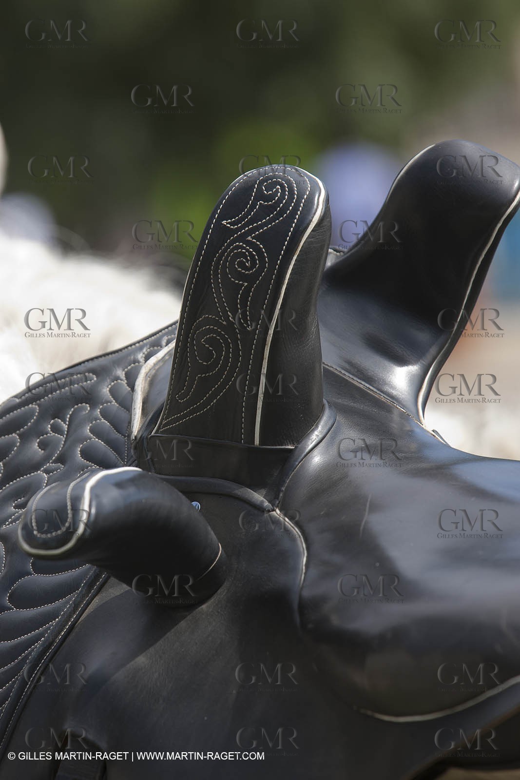 03 07 2011 - Arles (FRA,13) -  2011 Arles Costume celebration