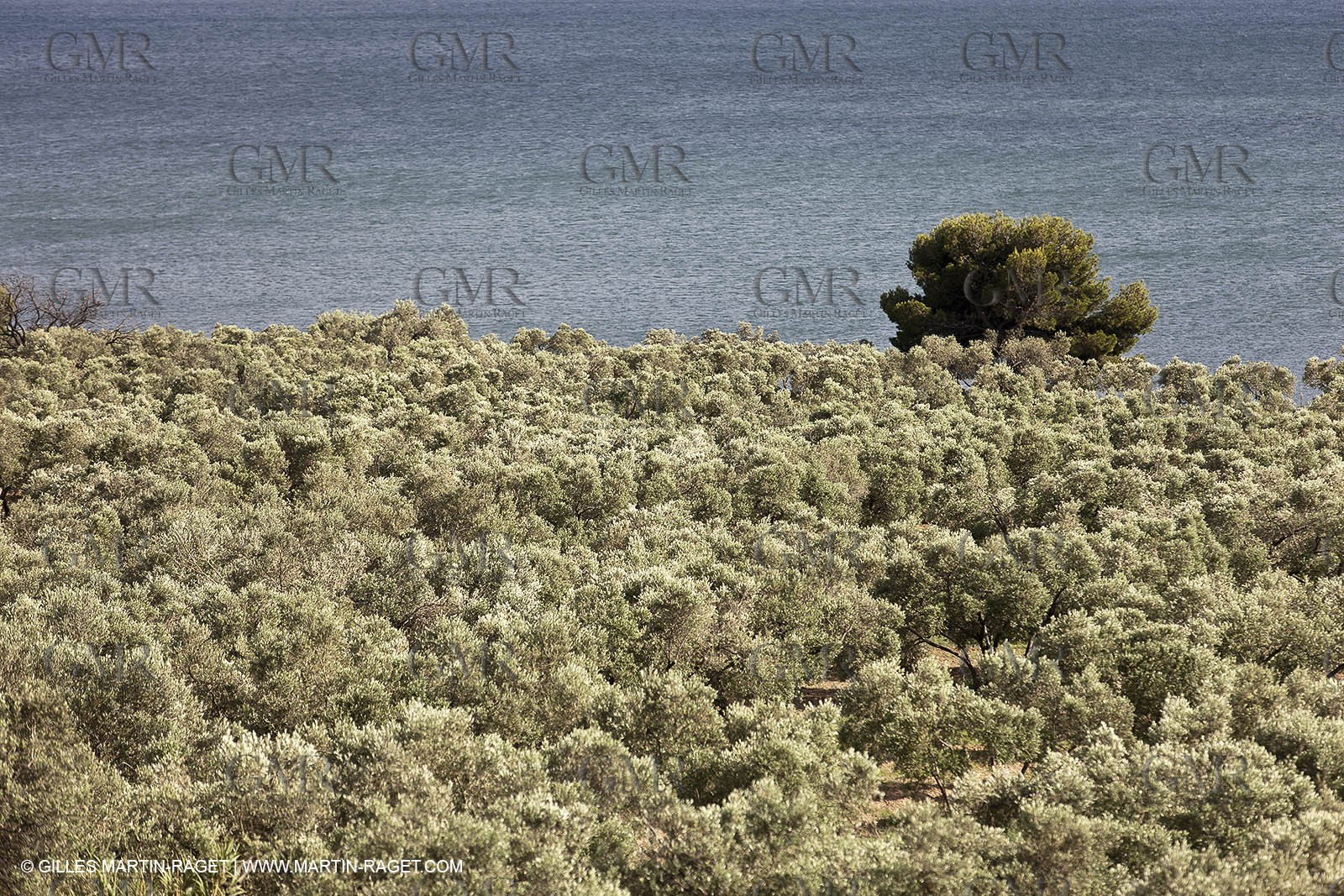 13 06 2012 - Saint Chamas (FRA,13)