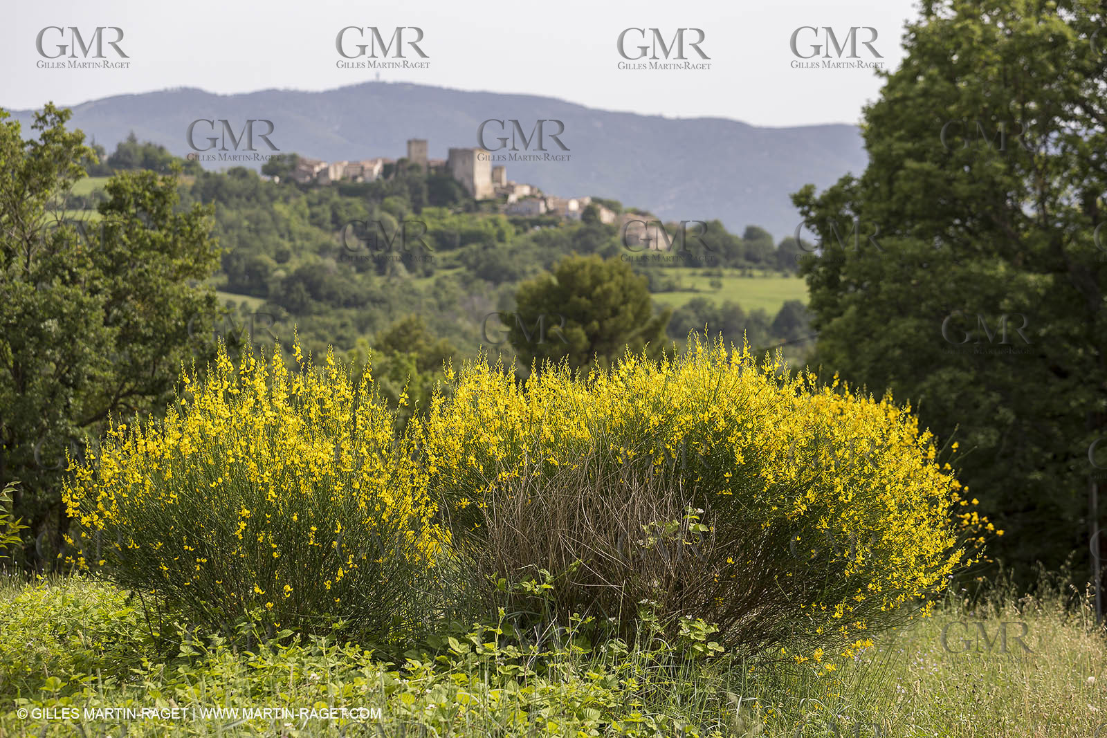 10 06 2018, Caseneuve (FRA,84)