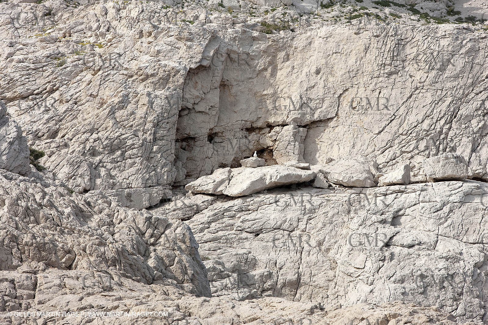 05 05 2009 - Marseille (FRA, 13) - Les Calanques - Riou