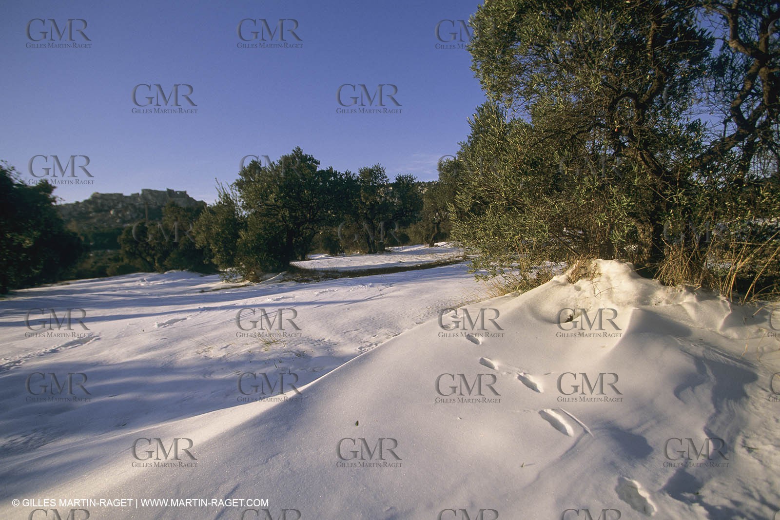 France, Provence, Neige en hiver   Snow in Provence