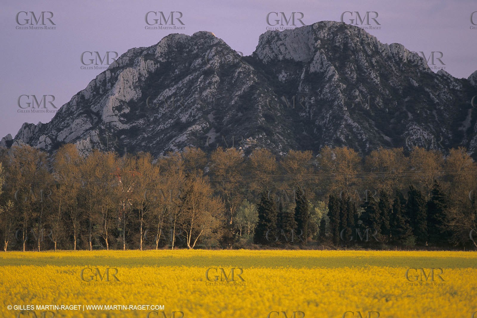 France, south, Alpilles landscapes