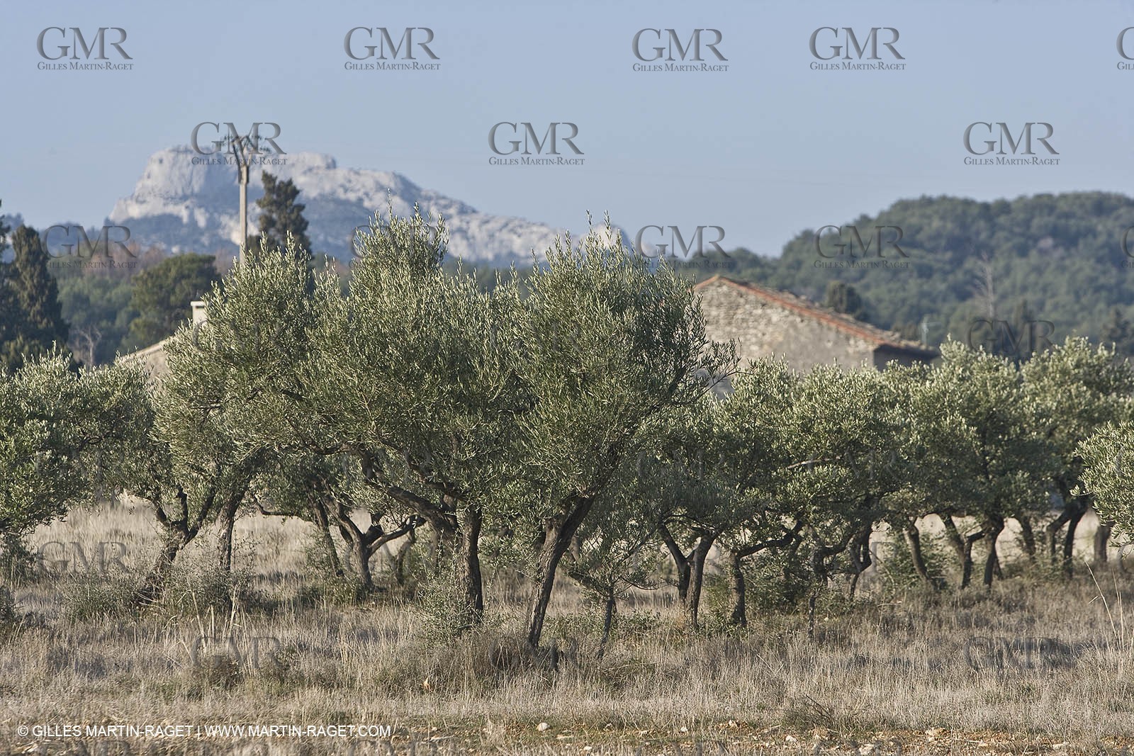 16 02 2008 - Saint Rémy de Provence (FRA, 13) - Alpilles hills landscapes