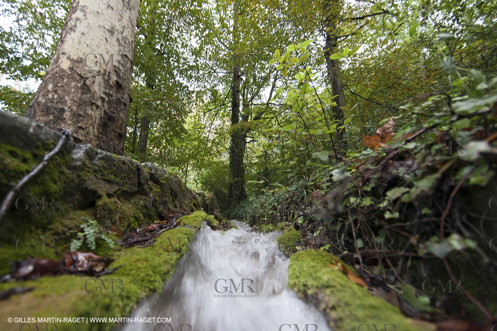 23 10 2012 - Gemenos (FRA) - Départemental Park of Saint Pons valley