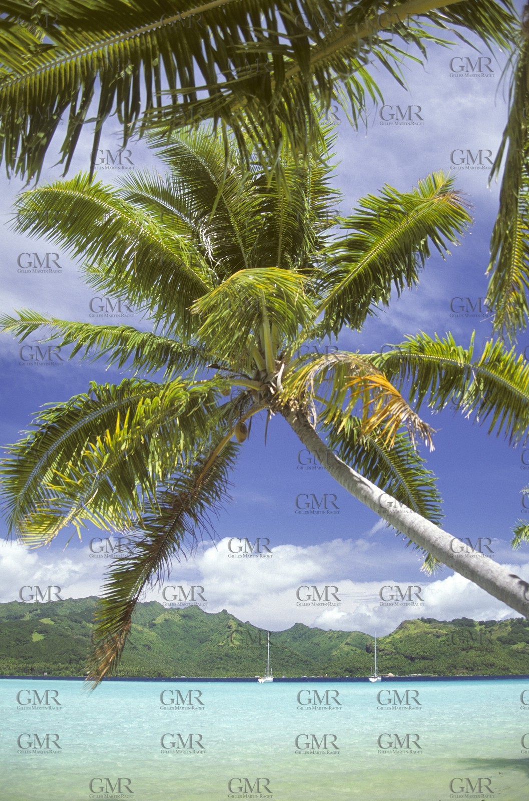 Polynesia