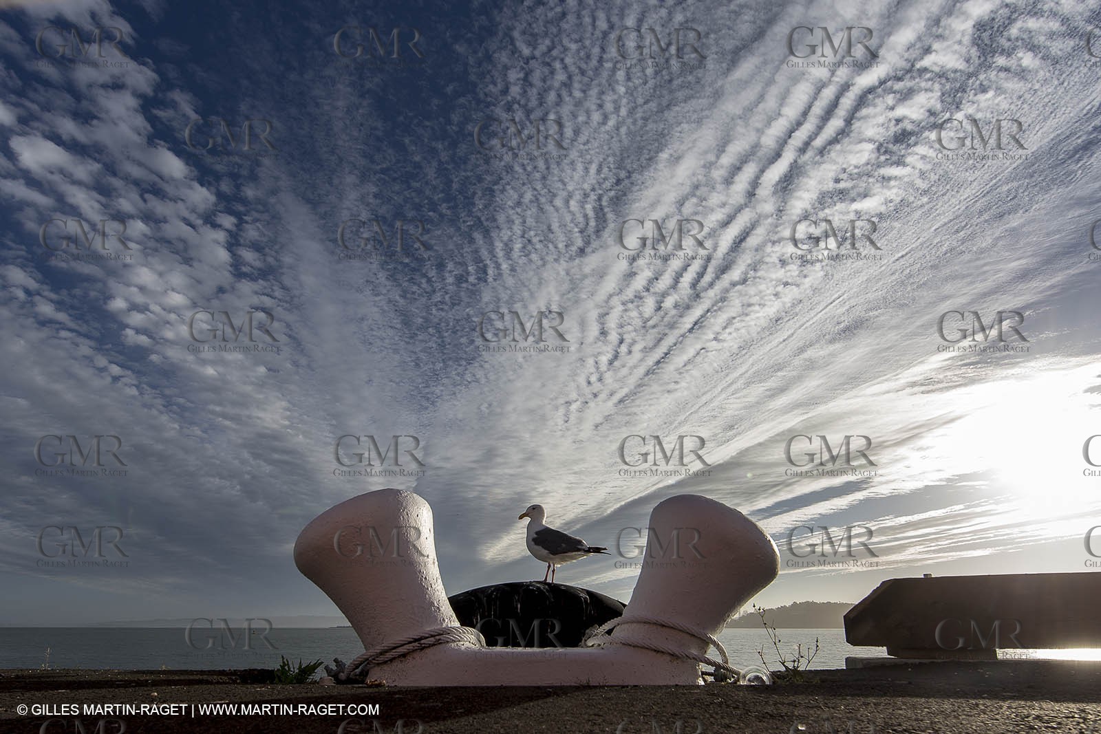 24 09 2013 - San Francisco (USA,CA) - 34th America's Cup - Final Match - Racing Day 14.