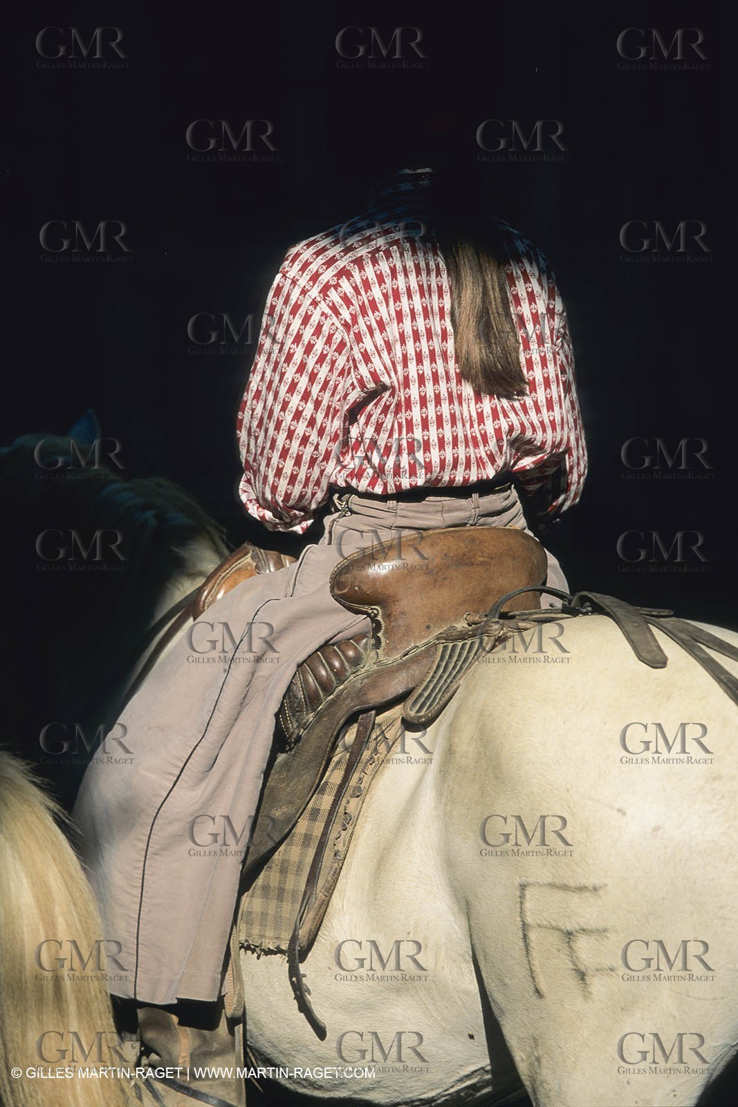 France, Provence, Camargue, Gardians de Camargue, métier, fêtes, élevage, tri