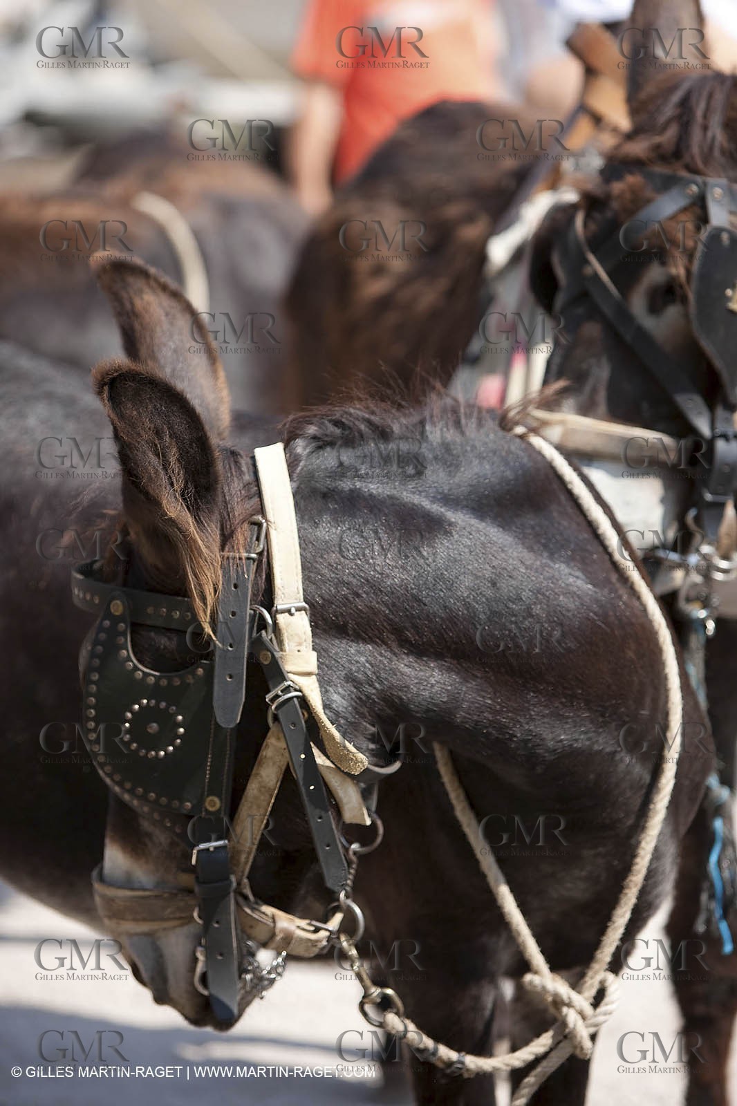 29 07 2009 - Marseille (FRA, 13) - Les Calanques