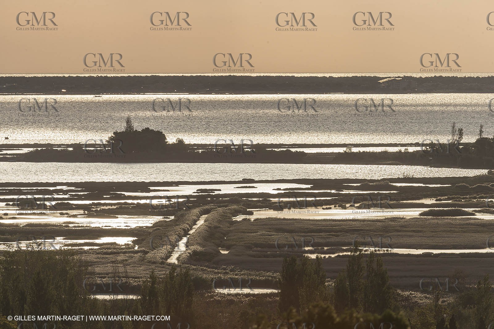 07 10 2014, Etang de Leucate (Fra,66)