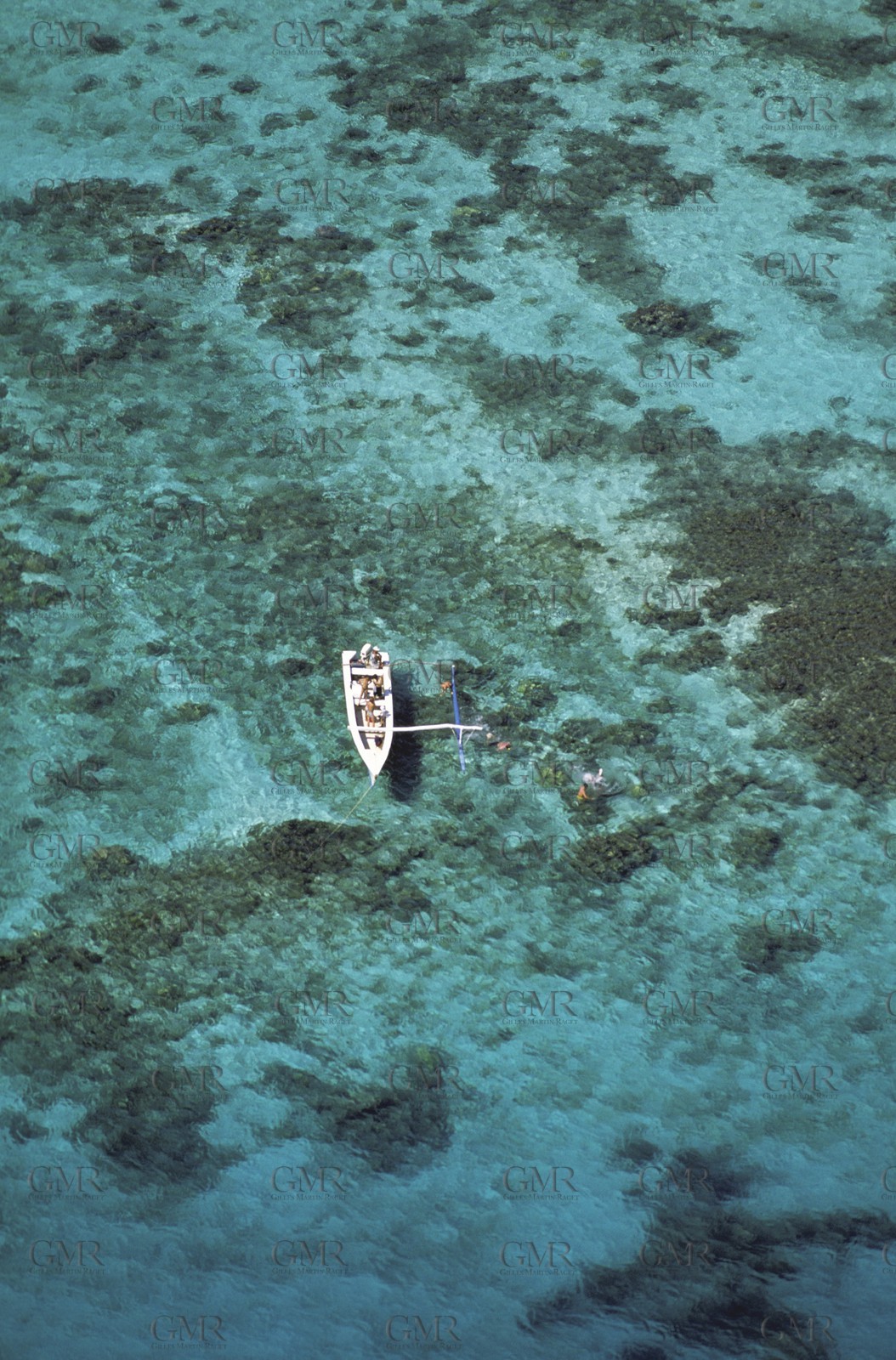 Polynesia