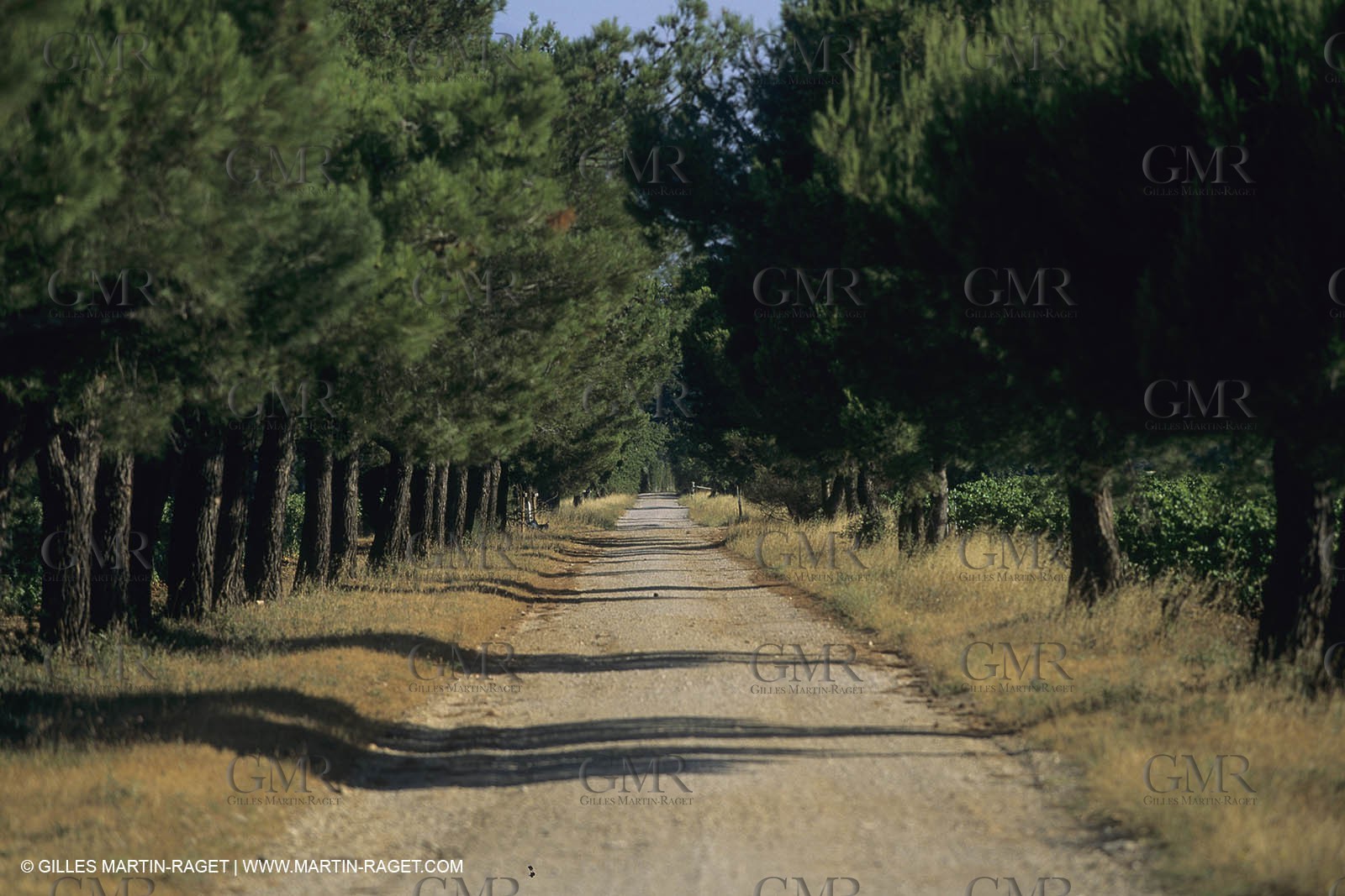 France, south, Alpilles landscapes