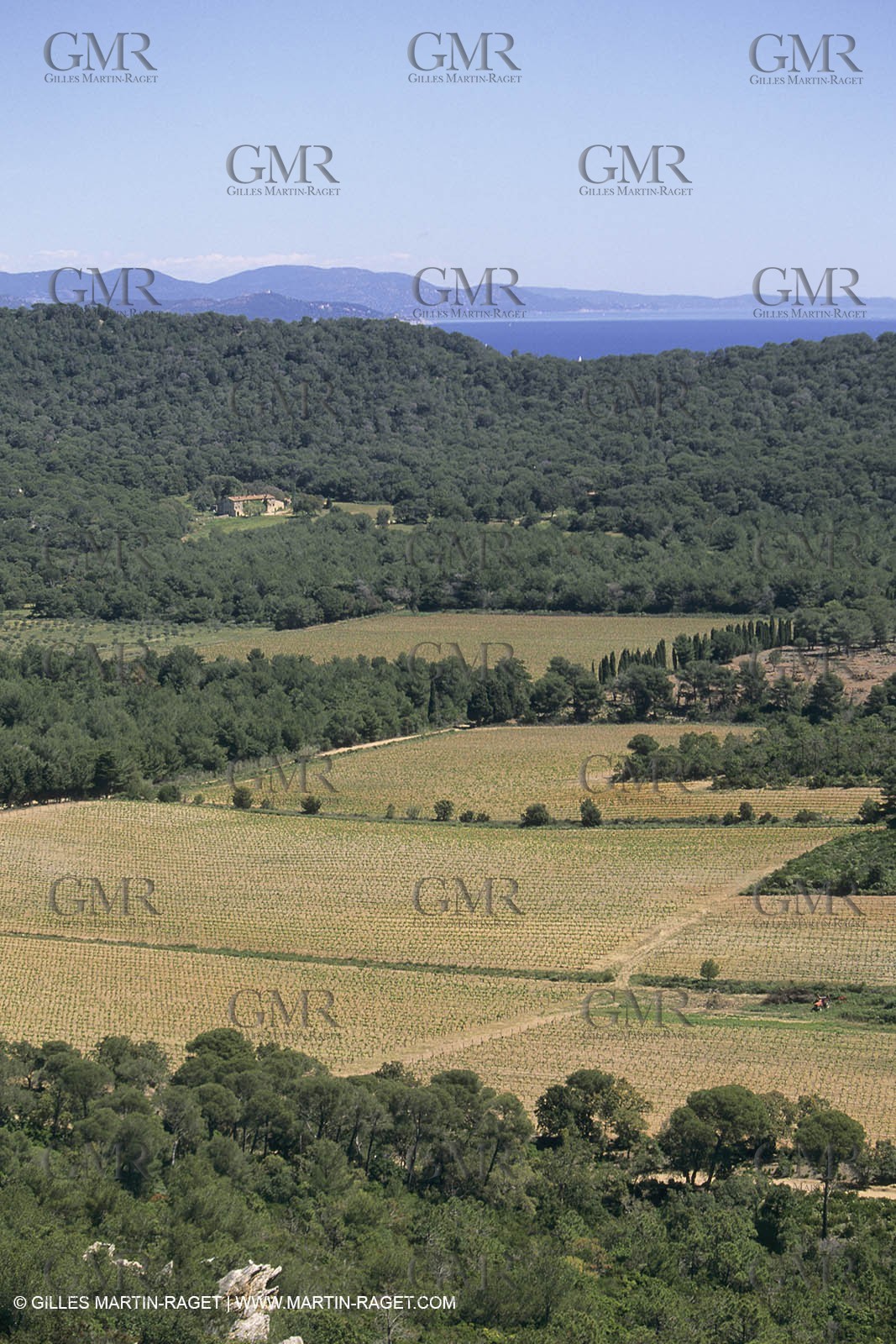France, Provence, Iles d'Hyères, Porquerolles