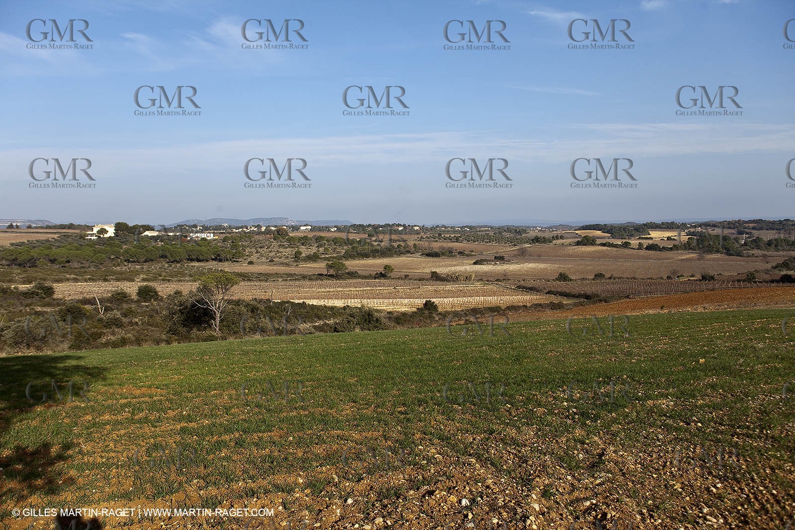 Saint Drézéry (FRA, 34), Domaine de Puech Haut