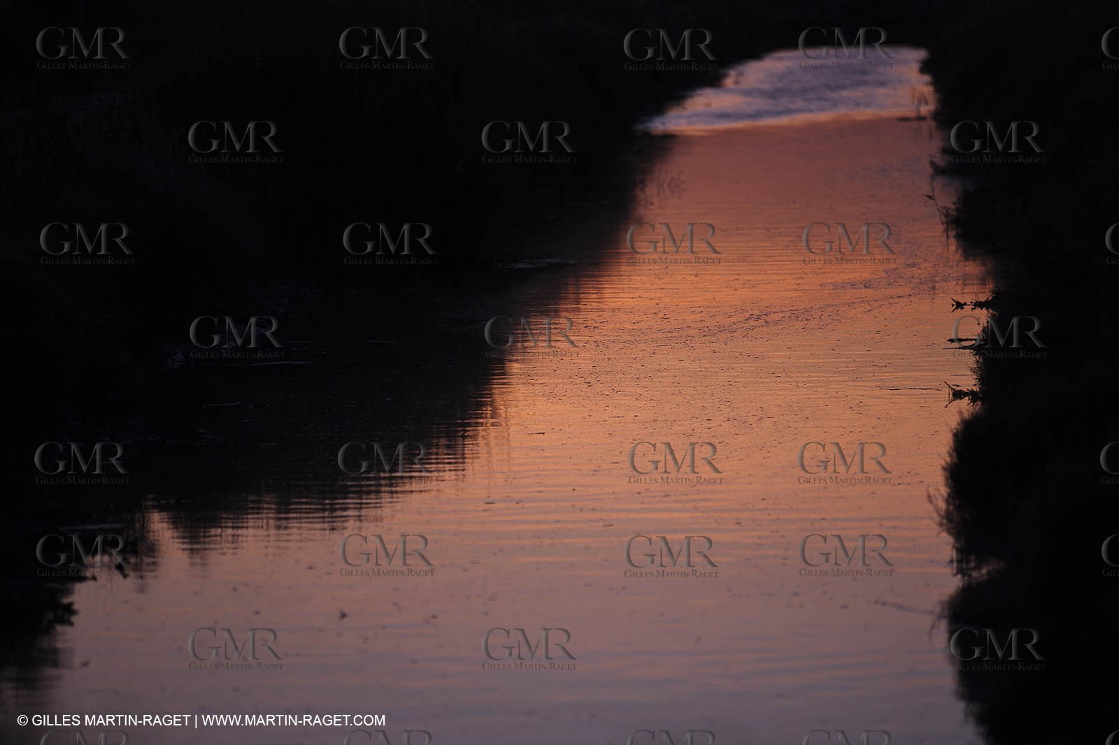25 05 2011 - Les Saintes Maries de la Mer (FRA,13) - gypsies gathering