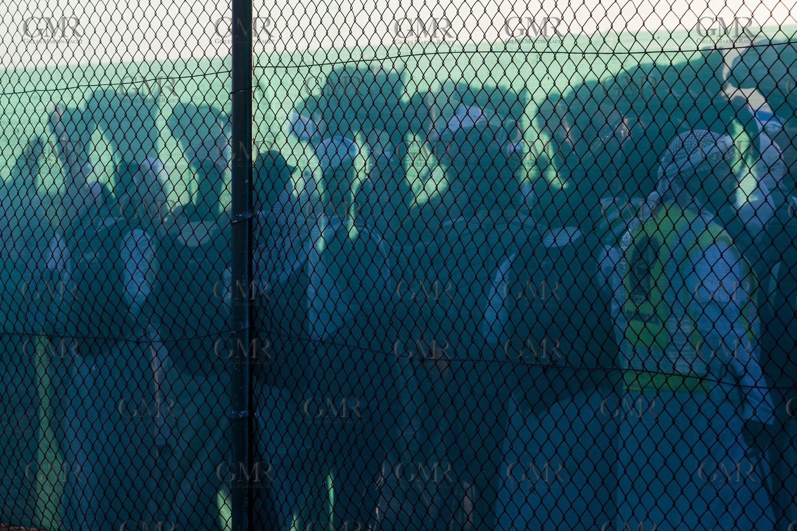 20 11 2010 - Dubai (EAU) - Courses de chameaux