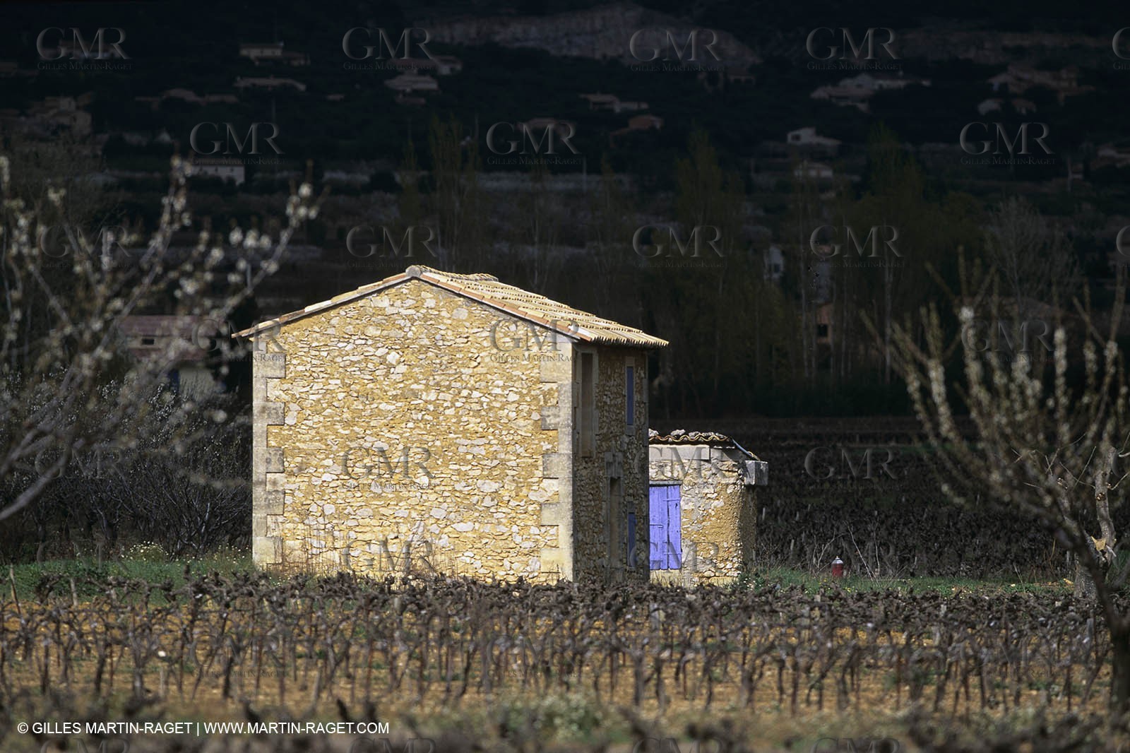 Luberon in winter near Saint Satrunin les Apt (FRA,84)