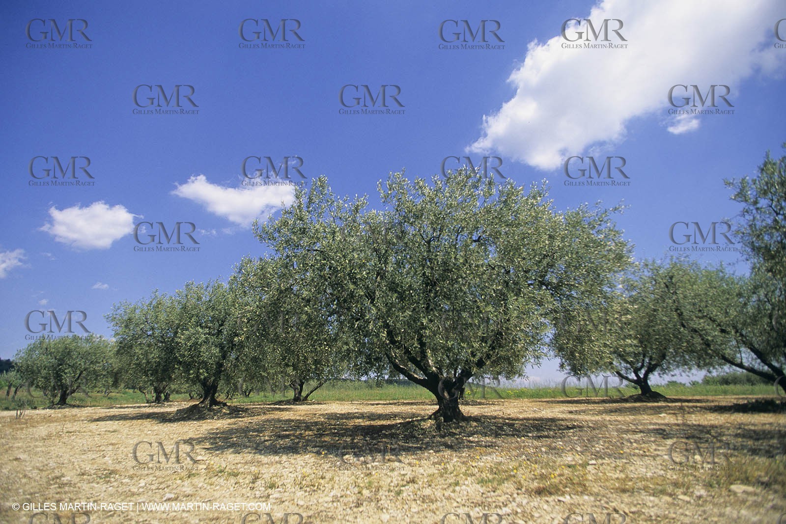 Nîmes Métropole landscapes (FRA,30) - Vaunage