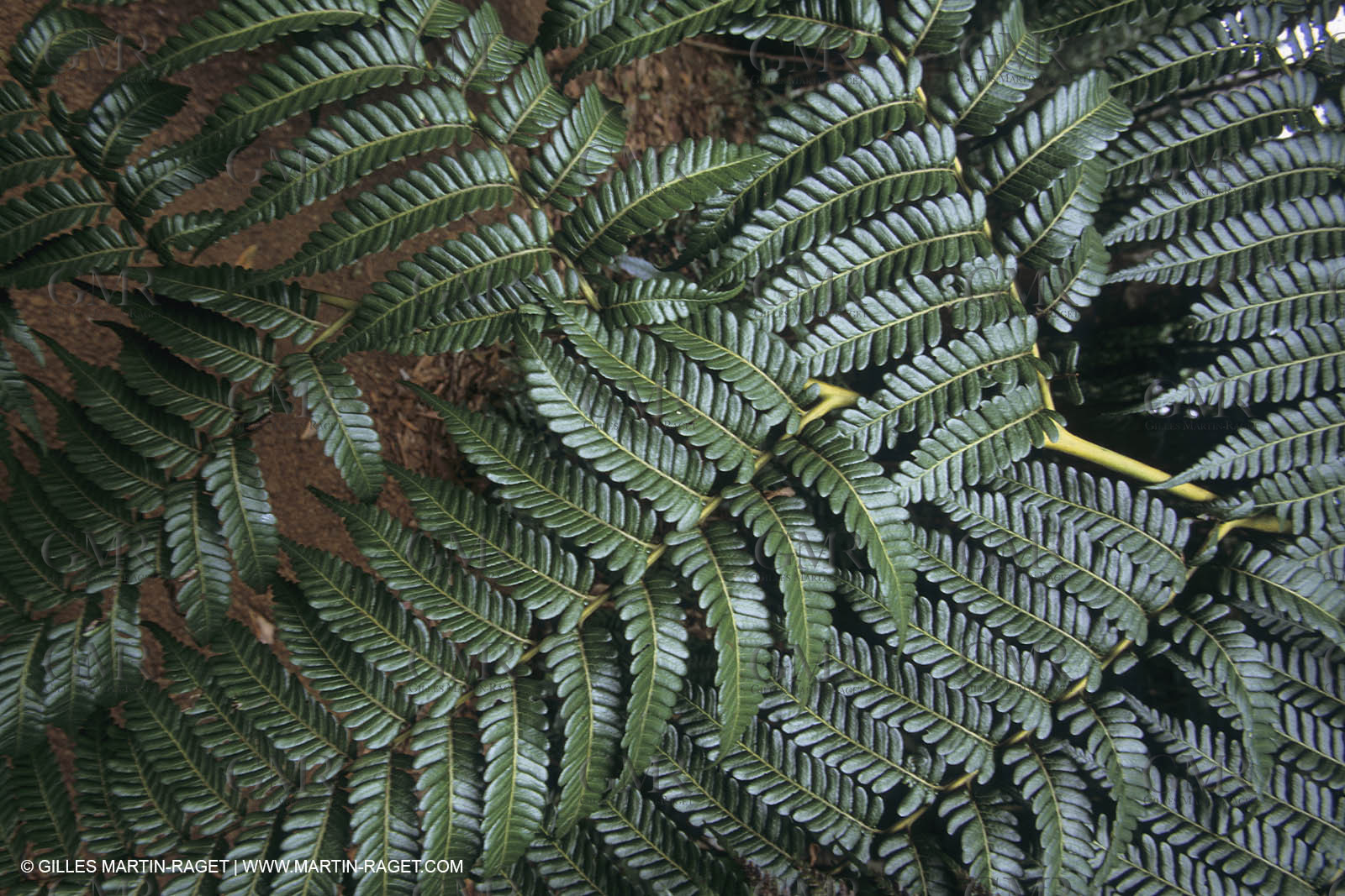 Destinations, New Caledonia