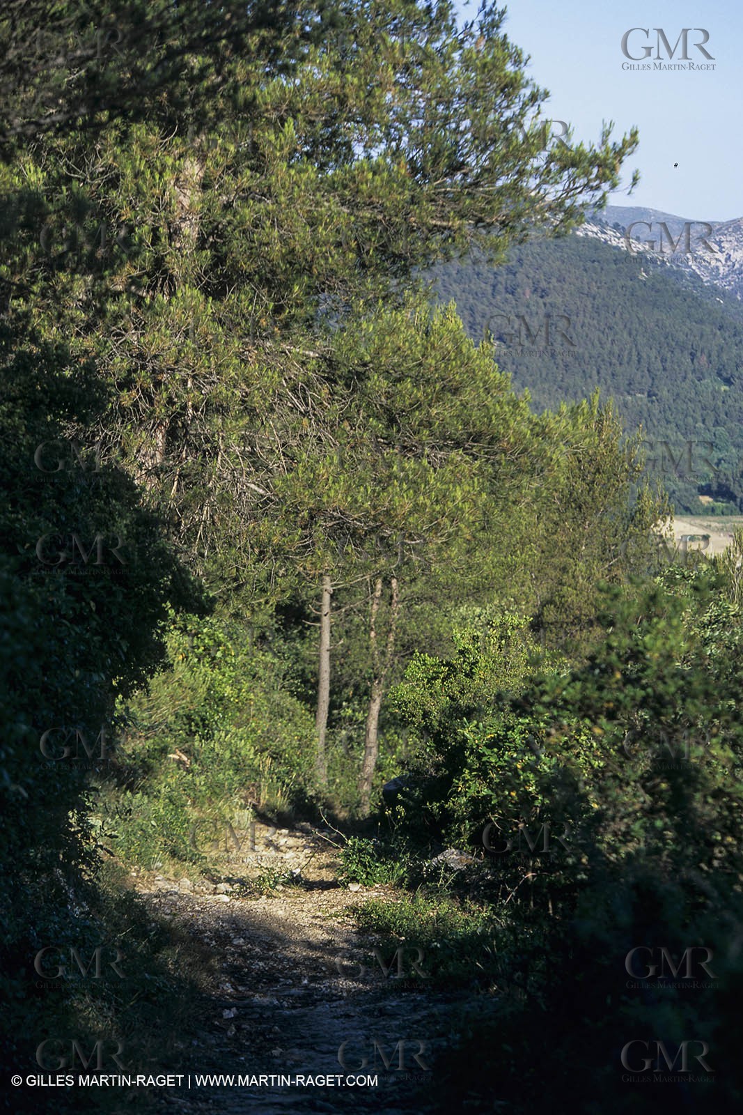 ScanJUL150467.jpg