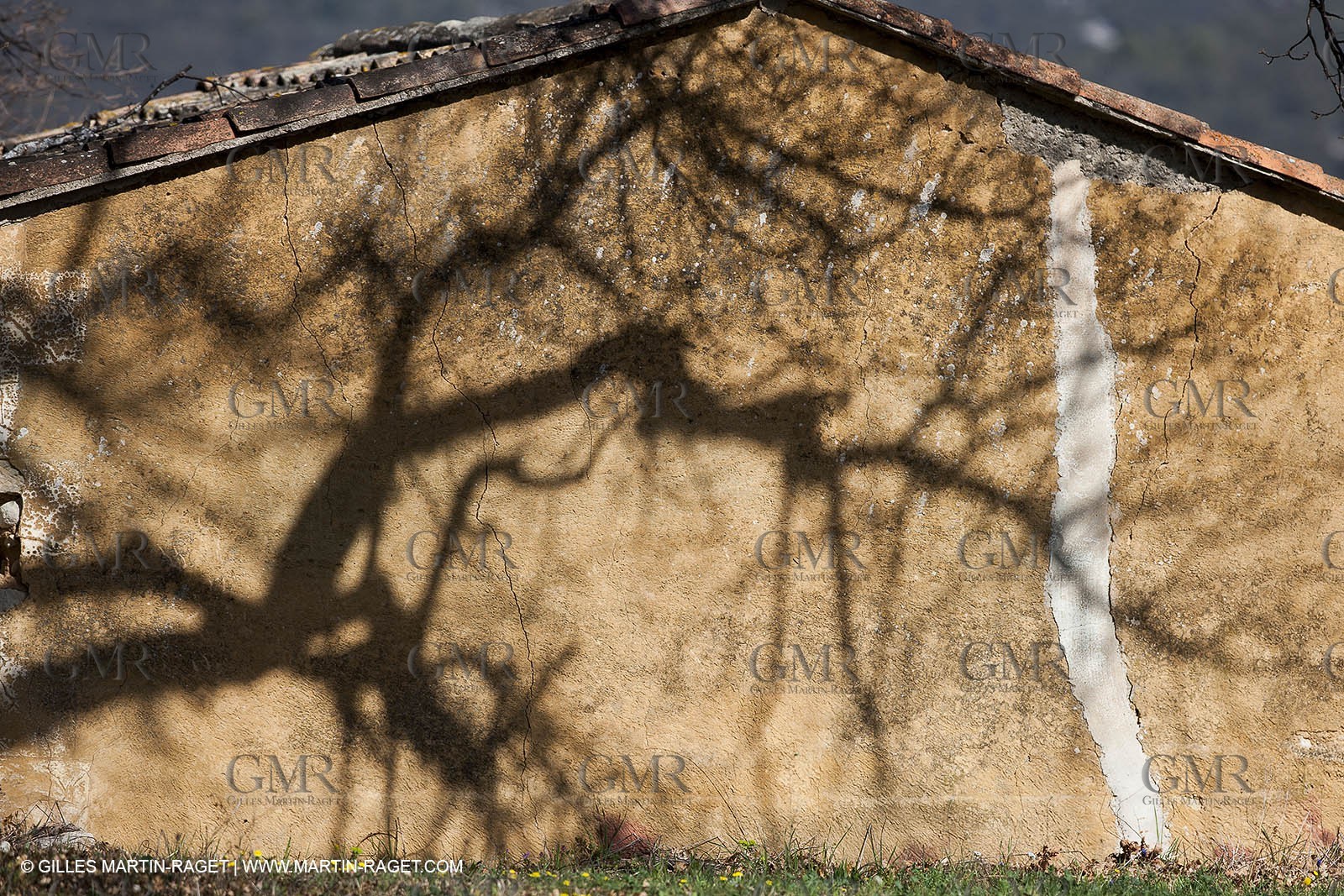March 30th 2012 - Saint Saturnin les Apt (FRA, 84) - blooming cherry trees