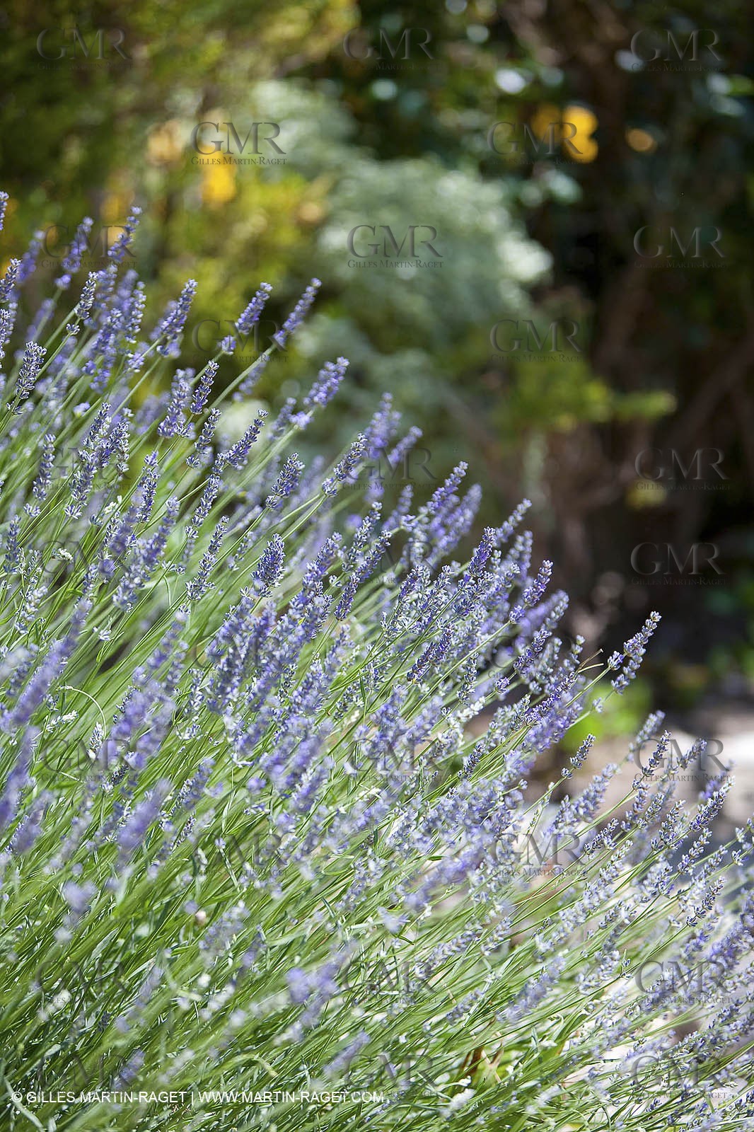 27 05 2009 - Marseille (FRA, 13) - Les Calanques - Sormiou