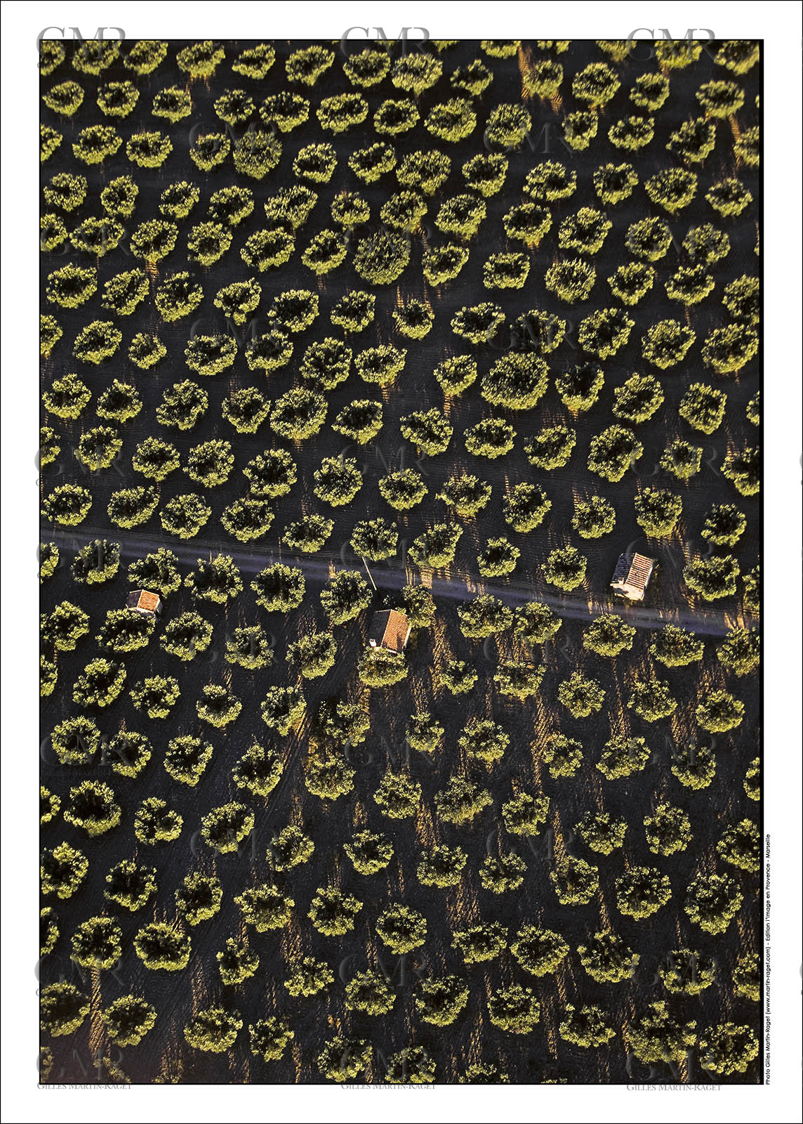 Produit : Tirage photo réalisé par nos soins sur imprimante jet d'encre professionnelle Epson à partir de 8 encres ultrachrome inaltérables (label Digigraphie).Formats au choix : . 30x40 cm. 50x70 cm. 80x120 cm.Choix des papiers :. Papier standard brillant 250 gr., filet noir, marge blanche, tirage non signé. Papier haut de gamme satiné 290 gr. filet noir, marge blanche, tirage vérifié et signé par l'auteur.. Autres supports (canvas, acrylique, dibond) sur demandeConditionnement : tube cylindrique renforcé.Options pour l'expédition : . colissimo + dépôt boîte aux lettres (France uniquement). Colissimo avec signature à réception. Transporteur express (2 jours ouvrés) avec signature à réceptionCliquez sur caddie pour sélectionner votre formule et démarrer la procédure de commande en ligne
