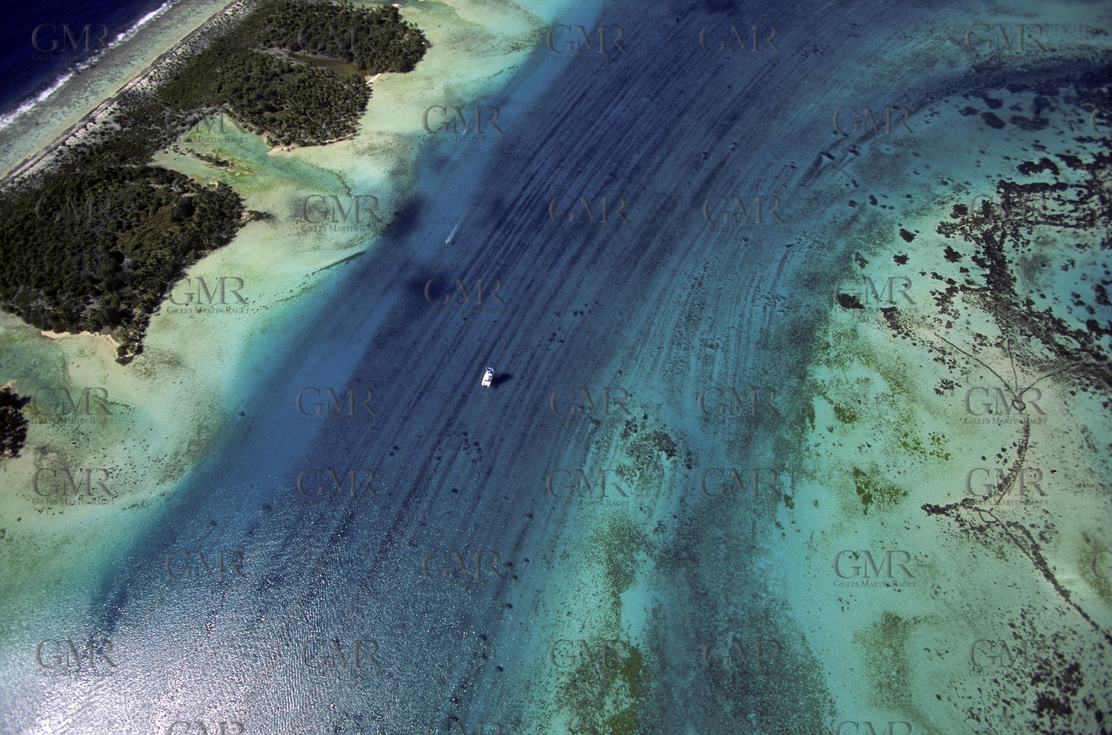 Polynesia
