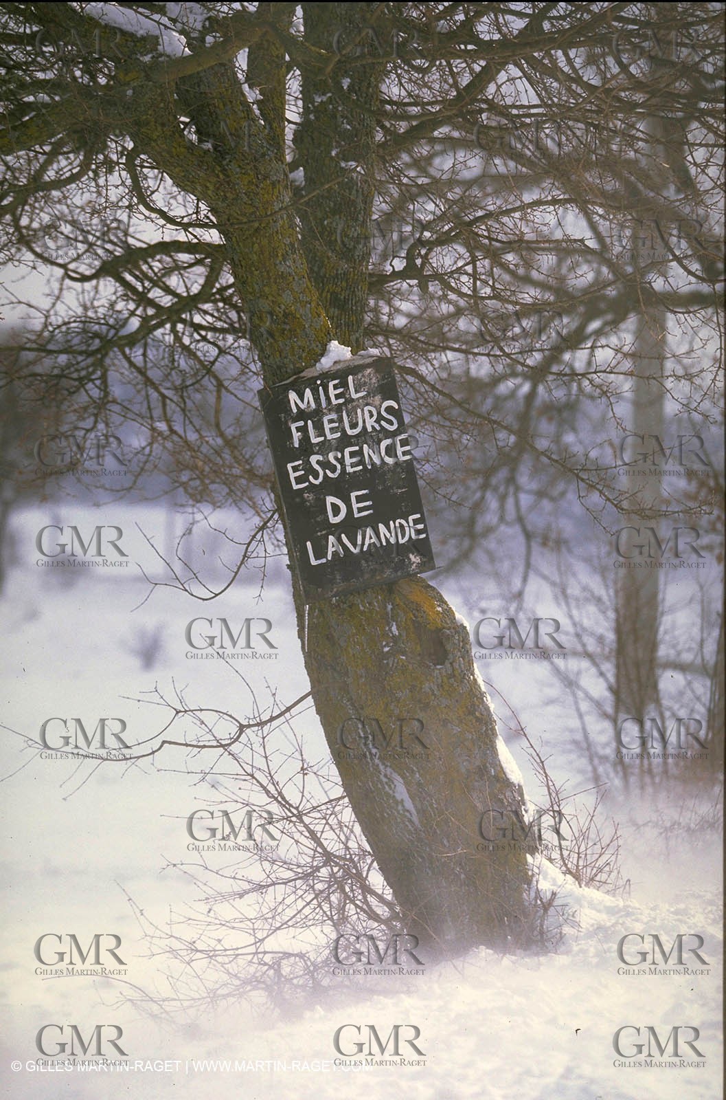 Sault plateau in winter