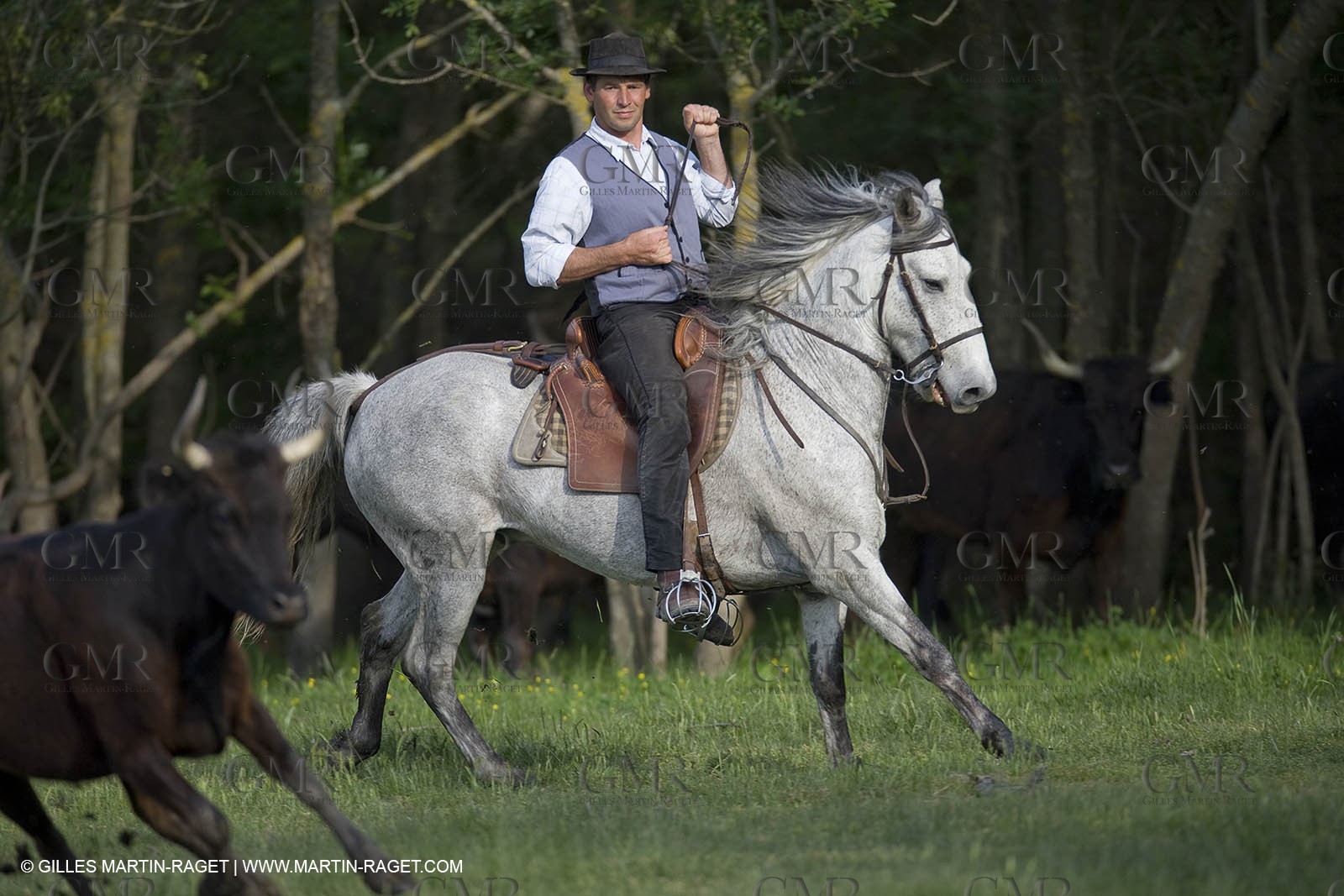 07 05 2008 - Le Cailar (FRA,30) - Stock work at Mas du Pont de Laute domain