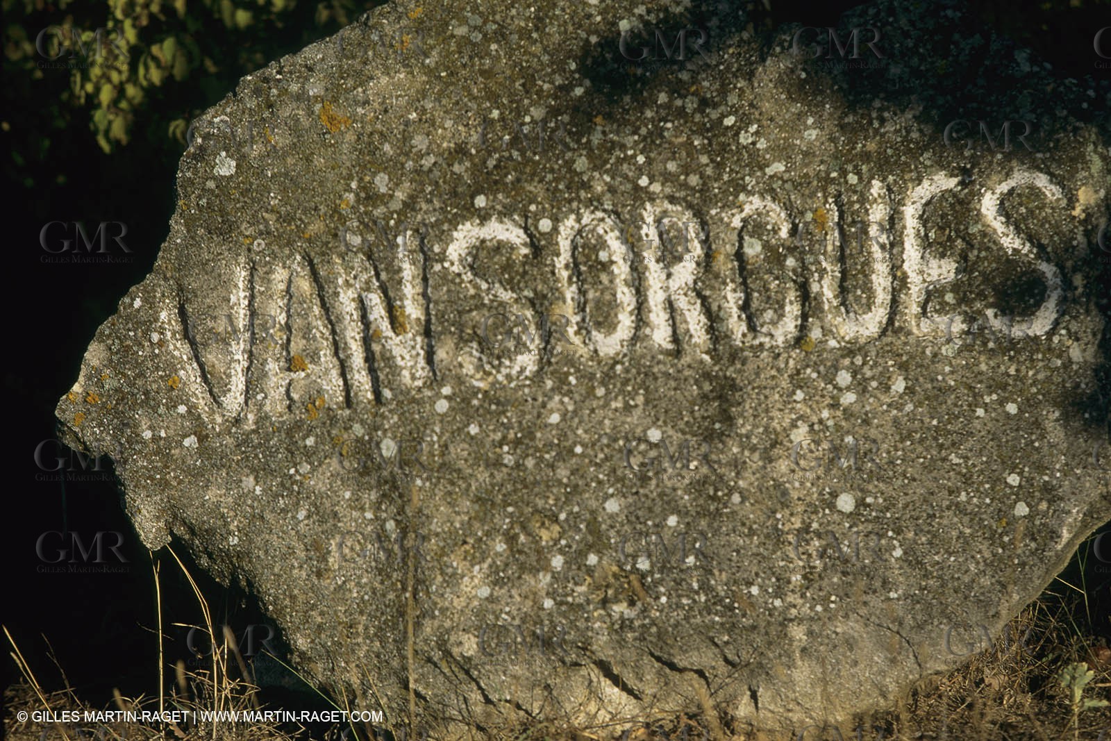 France, Provence, Mas, maison, propriétés, Vansorgues
