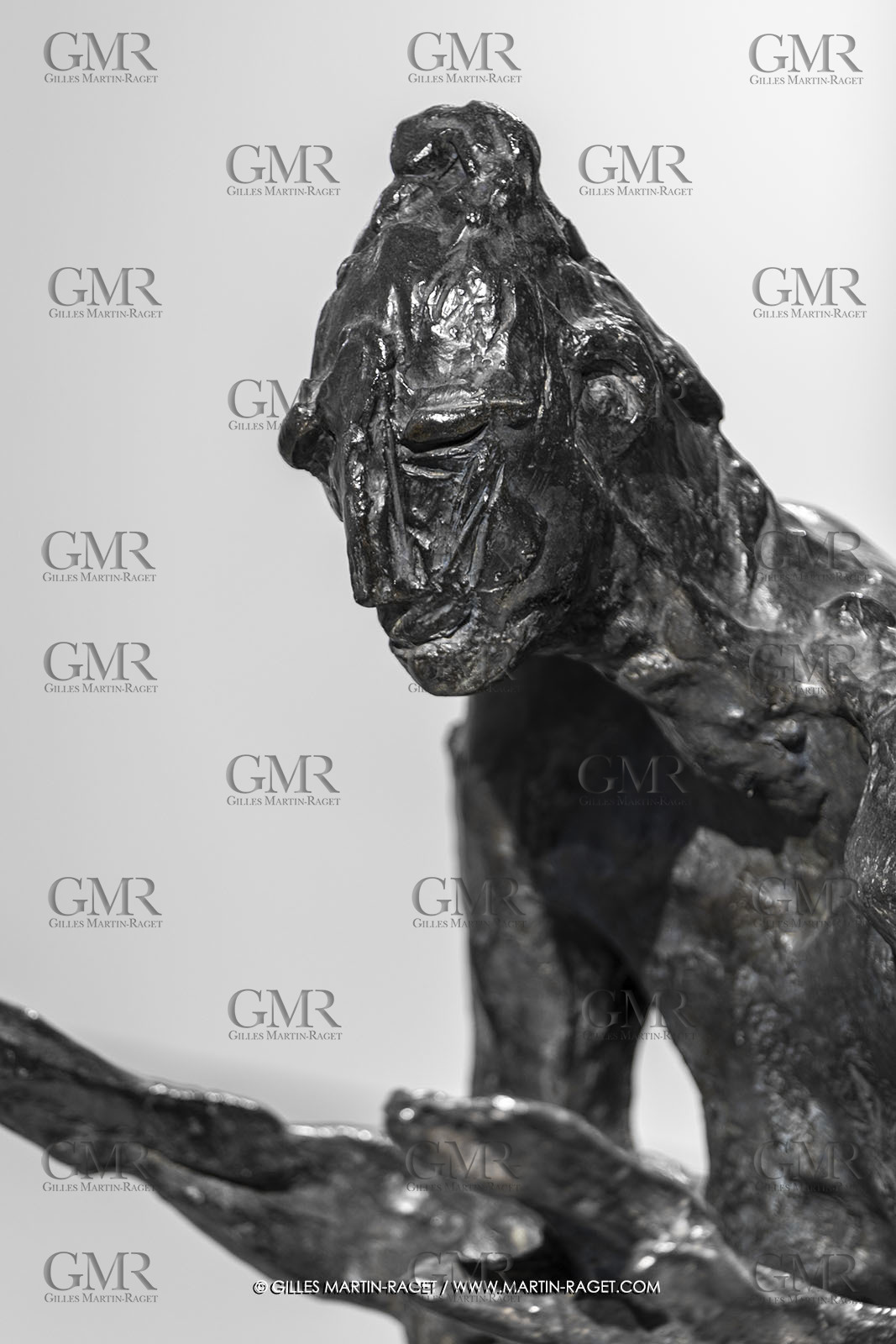 30 10 2023, Montpellier (FRA), oeuvre de Germaine Richier, Exposition Centre Pompidou - Musée Fabre 2023, La Sauterelle, grande, 1955-1956, Bronze patiné foncé, épreuve d'exposition, Fondeur : Susse, Paris, 137 x 99 x 176 cm, Collection particulière