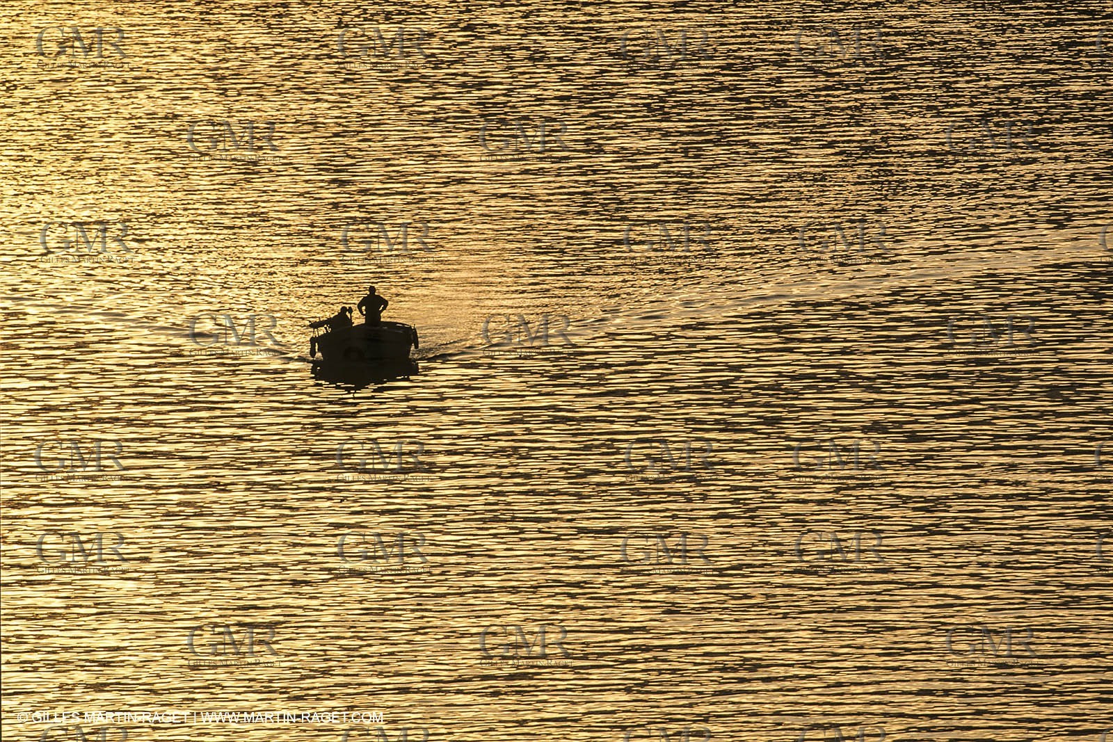 France, Provence, Pêche , Barques, pointus, pêche locale