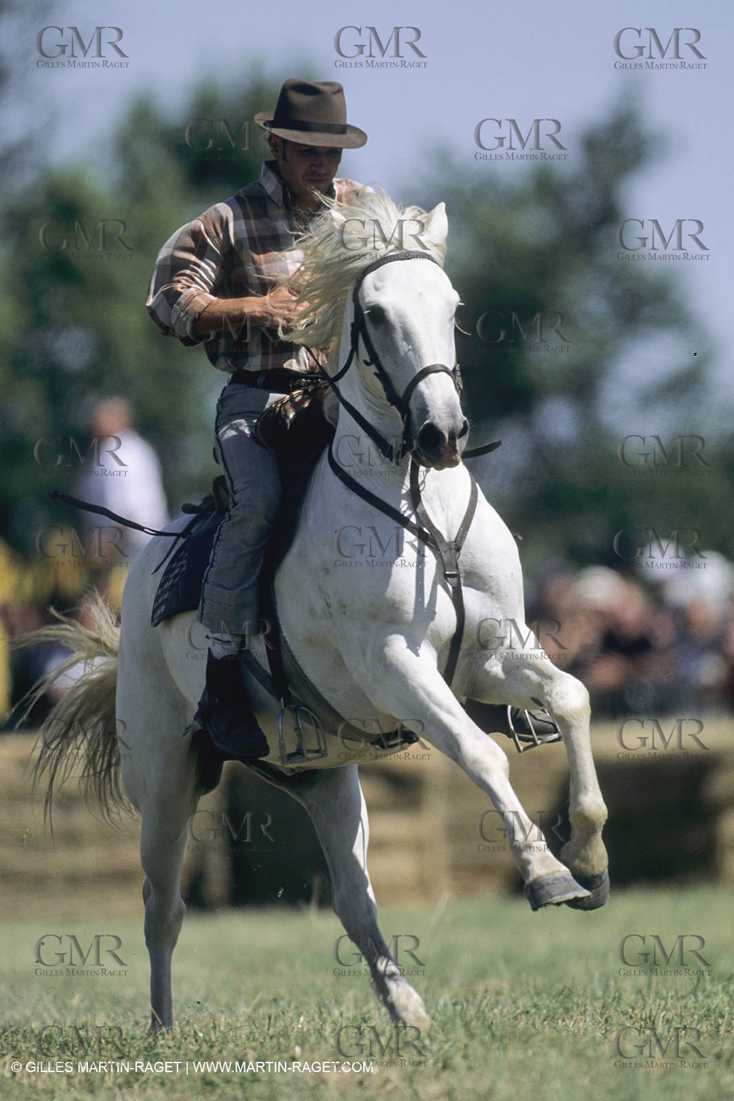 France, Provence, Camargue,work, fests, stock keeping