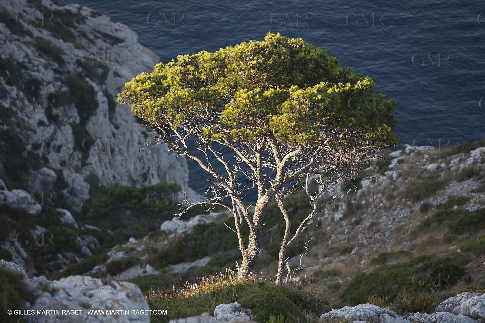 29 07 2009 - Marseille (FRA, 13) - Les Calanques