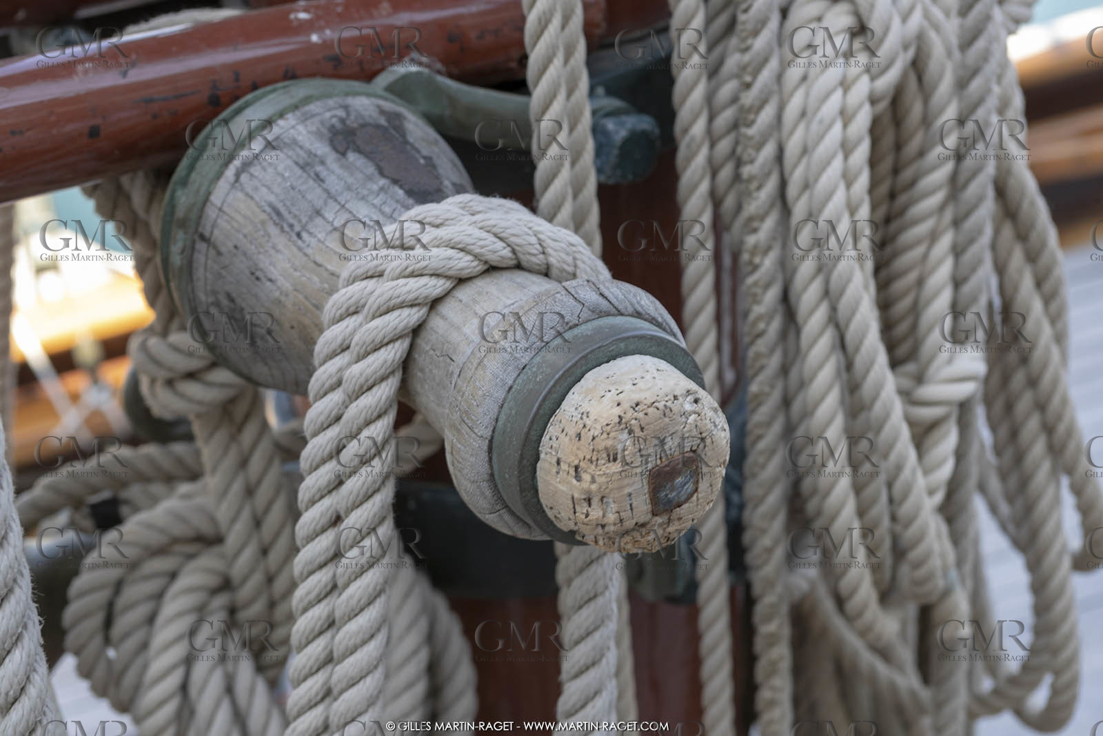 29 03 2019, Barcelona (Spain), Marigold