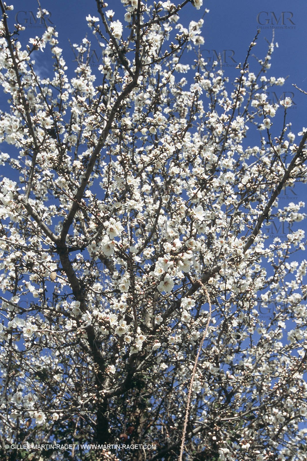 Paysages de Nîmes Métropole (FRA,30) - La Vaunage