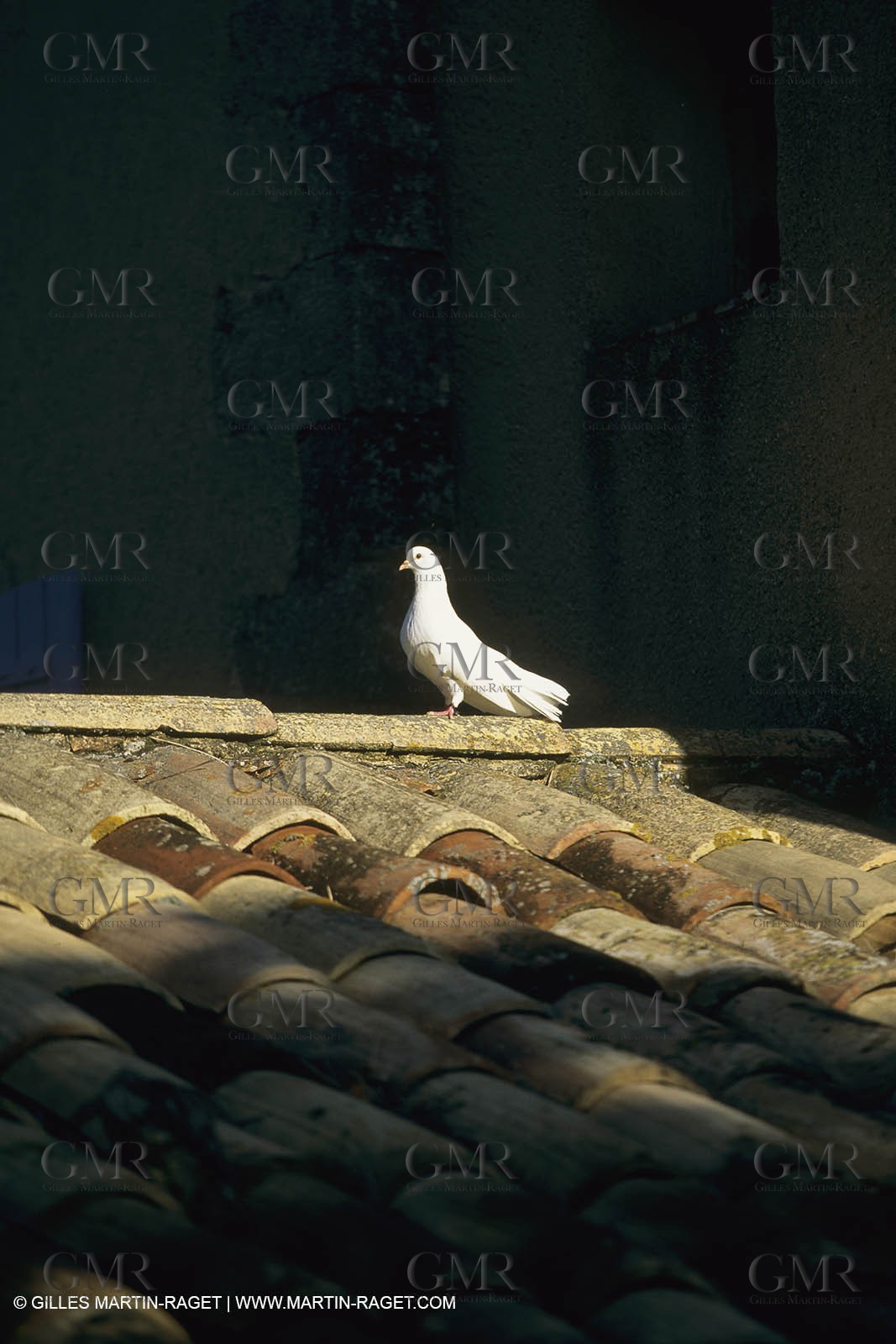 France, Provence, Mas, maison, propriétés, Vansorgues