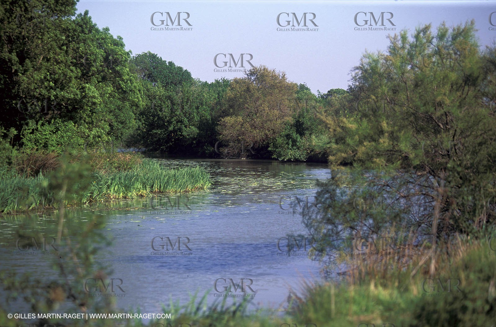 Crapone Channel