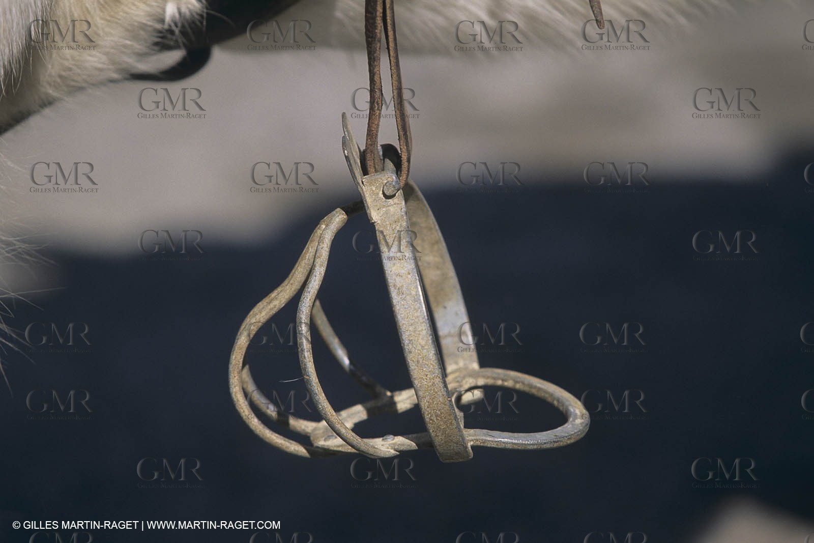 France, Provence, Camargue, Gardians de Camargue, métier, fêtes, élevage, tri