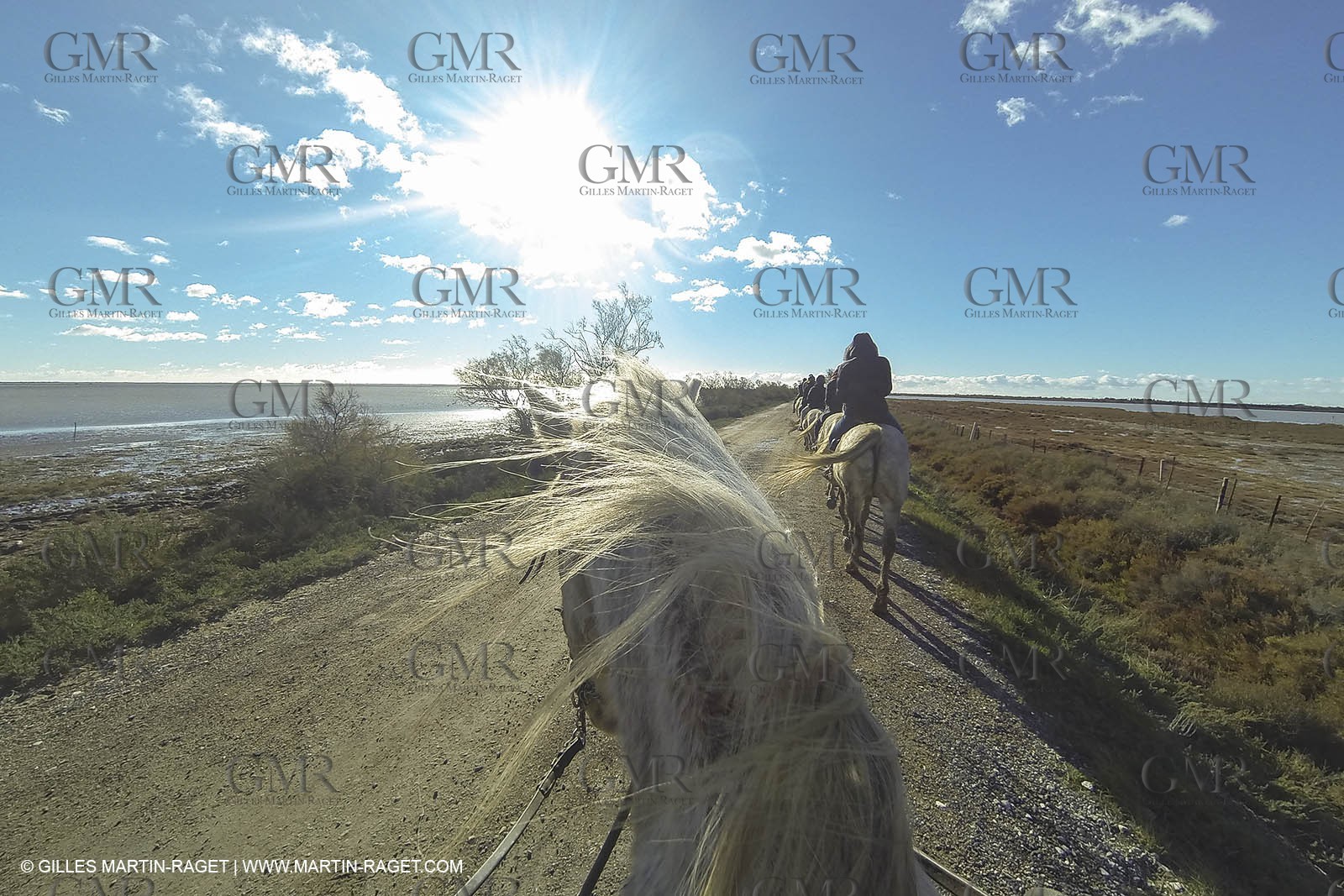 26 12 2013 - Les Saintes Maries de la Mer (FRA,13) - Horese riding at Cabanes de Cacharel